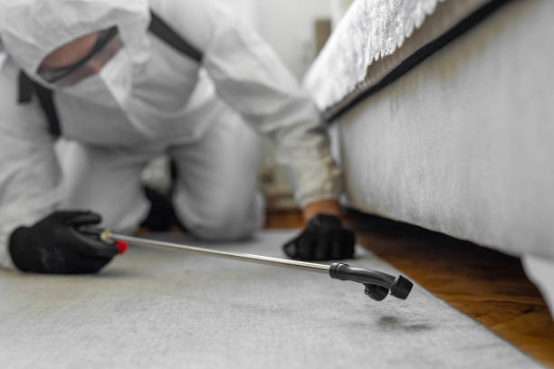 Professional Termite Control technician working in Coronita, CA