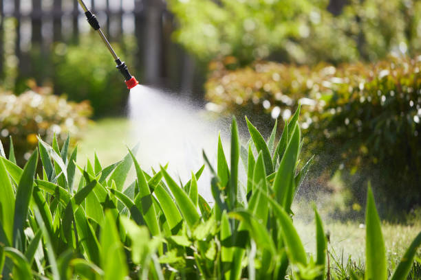 24/7 Emergency Termite Control experts in Coronita, CA